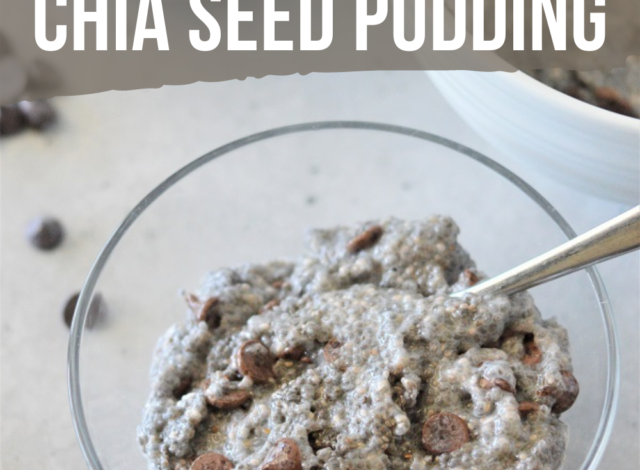 cropped-chocolate-chip-chia-seed-pudding.png