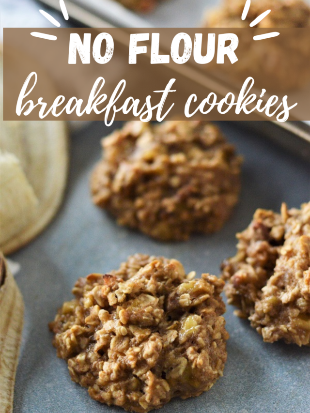 No Flour Breakfast Cookies