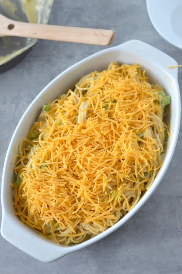 Creamy, cheesy, packed with flavor and PROTEIN — this lightened up Chicken Spaghetti is comfort food with a nutritious twist.